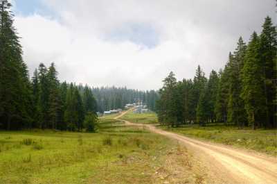 Sinekli Yaylası